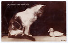 New Listing1906 RPPC A Tempting Morsel Postcard Cat Duckling Rotograph Bromide Real Photo