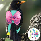 Bird Diapers Harness with Leash Parrot Flight Clothes Suit Parakeet Diaper