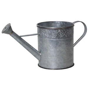 Metal Watering Can Pond Spitter & Planter - Silver