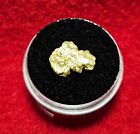 California Natural Gold Nugget  2.5 Grams  weight in a Gem jar w/lid