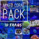 Frag pack live coral 10 Mixed Frags! Free Overnight Shipping