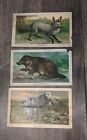 Victorian Trade Cards Arbuckle Bros Coffee 1890's Lot 3 Animals New York Antique