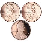 2023 P D S Lincoln Shield Cent 3 Coin Set
