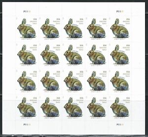 Mint US Brush Rabbit Pane of 20 Forever Additional Ounce Stamps Scott# 5544(MNH)