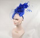 Sinamay w Jumbo Silk Flower Goose and Rooster Feather Flowers Fascinator Hat