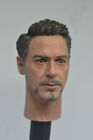 1/6 Avengers Iron Man Tony Stark Head Sculpt Model F 12