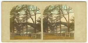 G1359~ SCOTLAND – c.1860 Hand Tinted Stereoview – Bridge of Doon