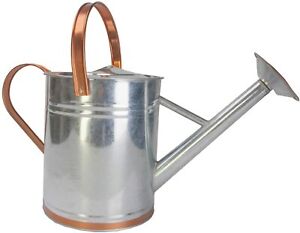Panacea Products Galvanized Silver Watering Can, 2 Gallon