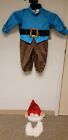 Lil' Garden Gnome Infant Costume Medium (12-18 Mos)