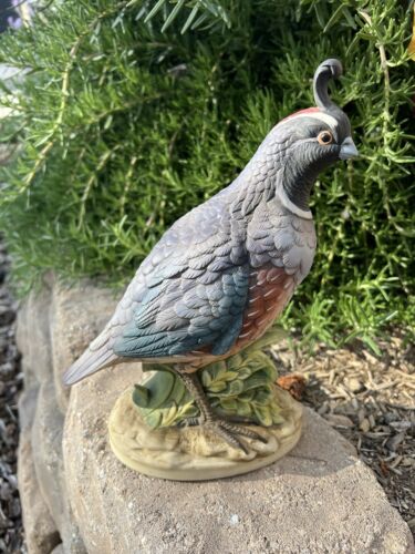 Andrea by Sadek CALIFORNIA QUAIL Porcelain Bird Figurine