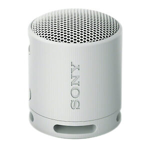 Sony SRS-XB100 Wireless Bluetooth Portable Compact Travel Speaker GRAY SRSXB100