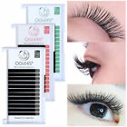 OGLE45° Lashes Mink Tray Lashes B C D J Curl For Individual Eyelash Extensions
