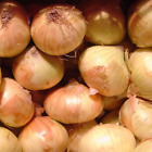 Walla Walla Sweet Onion Seeds | 100 Seeds | Non-GMO | Free Shipping | 1067