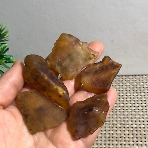 Natural Genuine Old Baltic Amber Rare Found Untreated Gemstone 20g c519