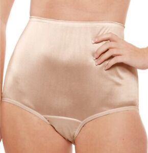Teri's Soft Silky Nylon Panty Brief - 3 Pair