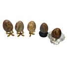 New ListingNatural Polished Mineral Egg Stones Lot Of FIve 3 Leg Oriental Fish Stands