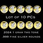 Lot of 10 - 1g .999 Silver & 24k Gold 2024 American Eagle Rounds Two Tone