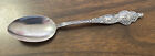Falls City Nebraska Watson Sterling Silver 15.4g Souvenir Spoon