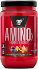 Amino X Muscle Recovery & Endurance Powder with Bcaas, Intra Workout Support, 10