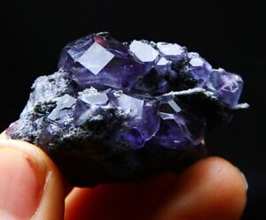 44.7 g natural dodecahedral Tanzanite blue fluorite specimen/China