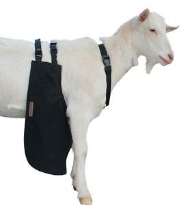 Anti Mating Anti Breeding OLOR Buck Apron™ with Harness - Goats/Sheep SMALL
