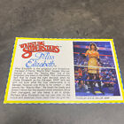 Miss Elizabeth Bio File Card WWE WWF Wrestling Superstars LJN 1987 Grand Toys