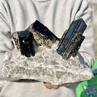 7.36LB Large Natural Black Tourmaline Crystal Gemstone Rough Mineral Specimen