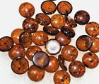 Genuine Baltic Amber round cabochon size 8 mm lot of 12 pcs