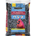 Select Black Oil Sunflower Seed Dry Wild Bird Feed, 40 lb. Bag, 1 Pack