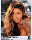 Amber Lynn Campisi Playboy Miss February 2005 Original Signed 8x10 Photo