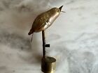 ANTIQUE VICTORY SPARKLER CANARY Photography BIRD WATER WHISTLE Missing Base