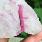 180g Natural Pink Tourmaline Quartz Crystal Gemstone Mineral Specimen Healing