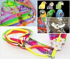Beauty Parrot Adjustable Bird Harness and Leash Anti-bite for Bird Parrot Afr...