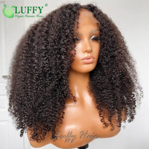 Kinky Curly 13x6 HD Lace Front Wigs 100 Human Hair Full Lace Wigs With Baby Hair