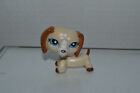 Littlest Pet Shop~#1491~Dachshund~Dog~Beige White Brown~Blue Dot Eyes~Authentic
