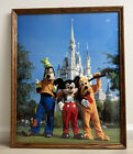 Vintage Disney World Magic Kingdom Framed Poster 21x17 Pluto Mickey Goofy