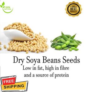 Soya Beans Seeds Dried organic Natural Soybeans quality Foods oil powder milk