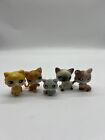 Littlest Pet Shop LPS Toy Lot Of 5 Kitty Cats Authentic