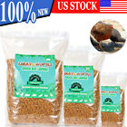 Bulk Dried Black Soldier Fly Larvae for Chickens Birds Treats High Calcium Lot