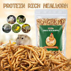 Lot Bulk Dried BSF worms for Wild Birds Food Chickens Hen Fish Treats Food