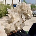 15.18LB Natural Large Himalayan quartz cluster white crystal ore Earth specimen
