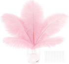 Pink Craft Ostrich Feathers - 30PCS Total Length 9-11 Inch Bulk Ostrich Feathers