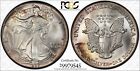 1986 Silver Eagle PCGS MS 68 Two Sided Partial  Color Toned
