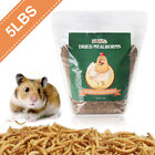 5 LBS Bulk Dried BSF Mealworms for Wild Birds Food Chickens Hen Fish Treats Food