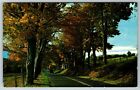 New ListingTree Lined Country Road Greetings From Bay City Texas Postcard