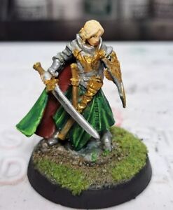 Painted Elf Paladin Reaper Miniature
