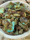 Royston Turquoise stabilized 1lb lots free shipping limited stock