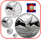 2023 Mexico Proof Silver Libertad 5 Coin Set (1/20 1/10 1/4 1/2 & 1 oz) capsules