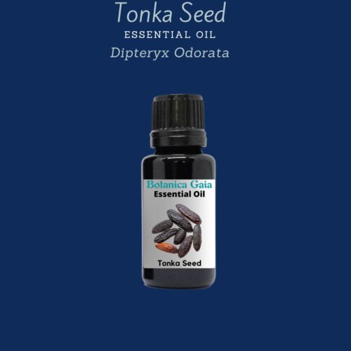 Tonka Bean Essential Oil, (Dipteryx odorata). 100% Pure and natural.