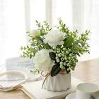 NAWEIDA Artificial Flowers with Small Ceramic Vase Silk Roses Fake Plants Euc...
